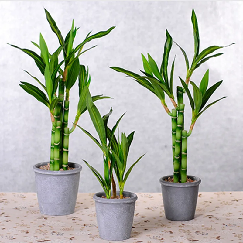 New-40cm-rFtificial-Lucky-Bamboo-Succulent-Fake-Plant-Flower-Green-Potted-Garden-Outdoor-Dining-Table-Fish-1.webp