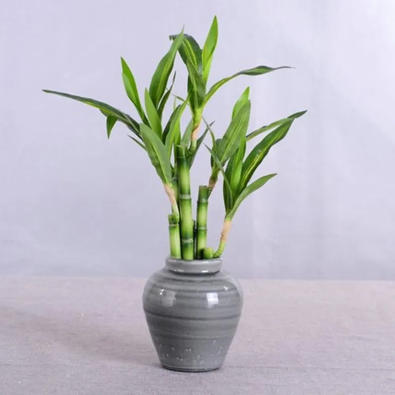 New-40cm-rFtificial-Lucky-Bamboo-Succulent-Fake-Plant-Flower-Green-Potted-Garden-Outdoor-Dining-Table-Fish-2.webp
