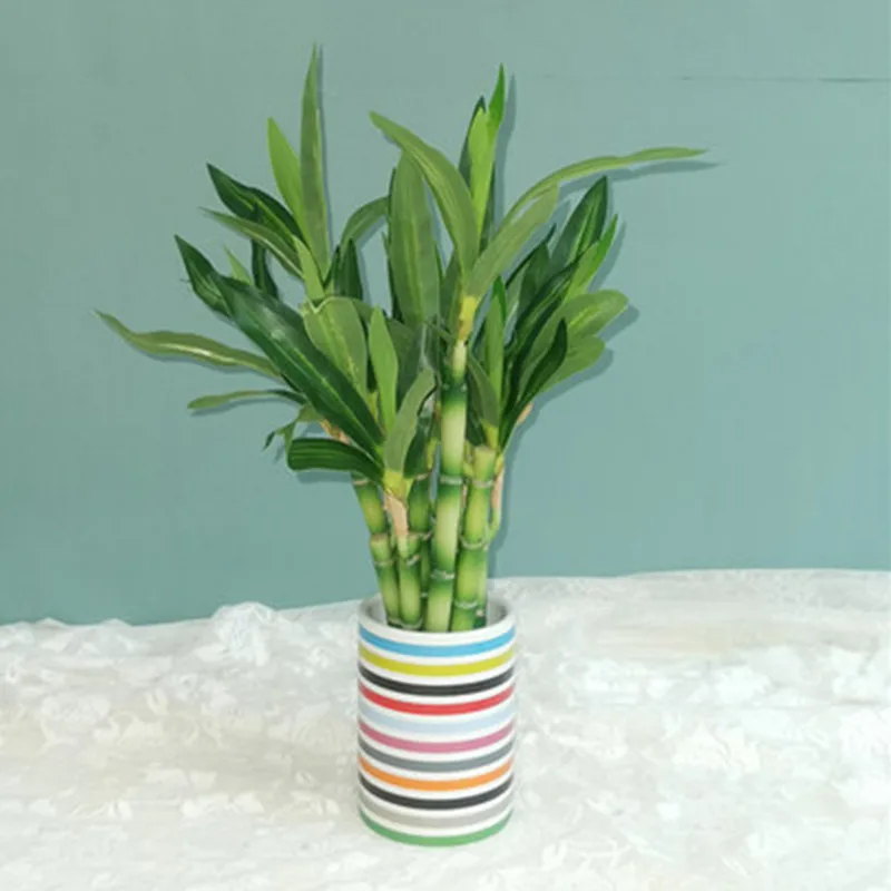 New-40cm-rFtificial-Lucky-Bamboo-Succulent-Fake-Plant-Flower-Green-Potted-Garden-Outdoor-Dining-Table-Fish-3.webp