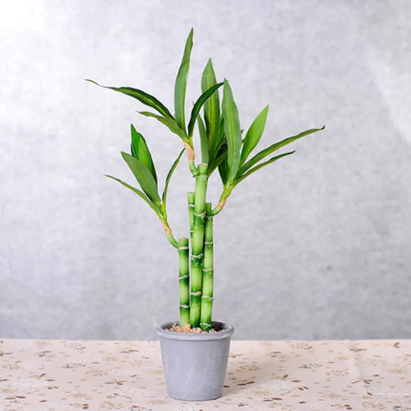 New-40cm-rFtificial-Lucky-Bamboo-Succulent-Fake-Plant-Flower-Green-Potted-Garden-Outdoor-Dining-Table-Fish-4.webp
