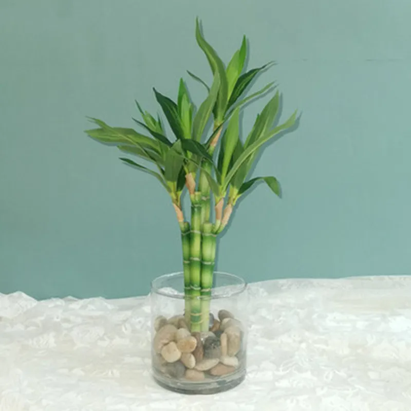 New-40cm-rFtificial-Lucky-Bamboo-Succulent-Fake-Plant-Flower-Green-Potted-Garden-Outdoor-Dining-Table-Fish.webp