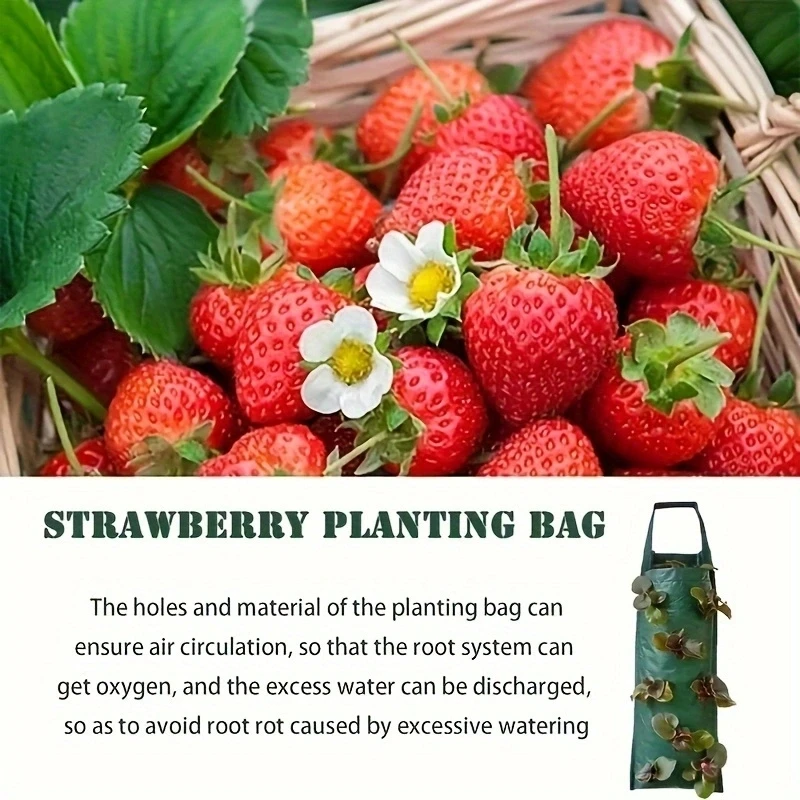 New-Fabric-Flower-Bag-Strawberry-Growing-Bag-Plant-Pot-Wall-Hanging-Planter-Vertical-Vegetables-Potatoes-Greenhouse-4.webp