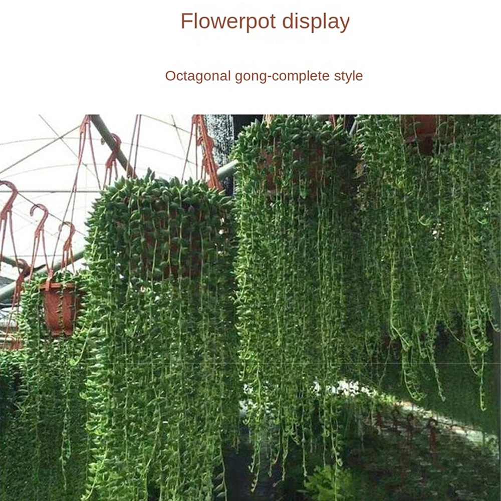 Planter-Plastic-Octagonal-Hanging-Basket-Plant-Flower-Pot-Hanger-Holder-Wall-Decoration-for-Courtyard-Garden-Balcony-3.webp