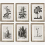 Vintage Tree Sketch Antique Botanical Forest Trees Poster and Prints Canvas Printing Wall Art Picture for Living Room Home Decor